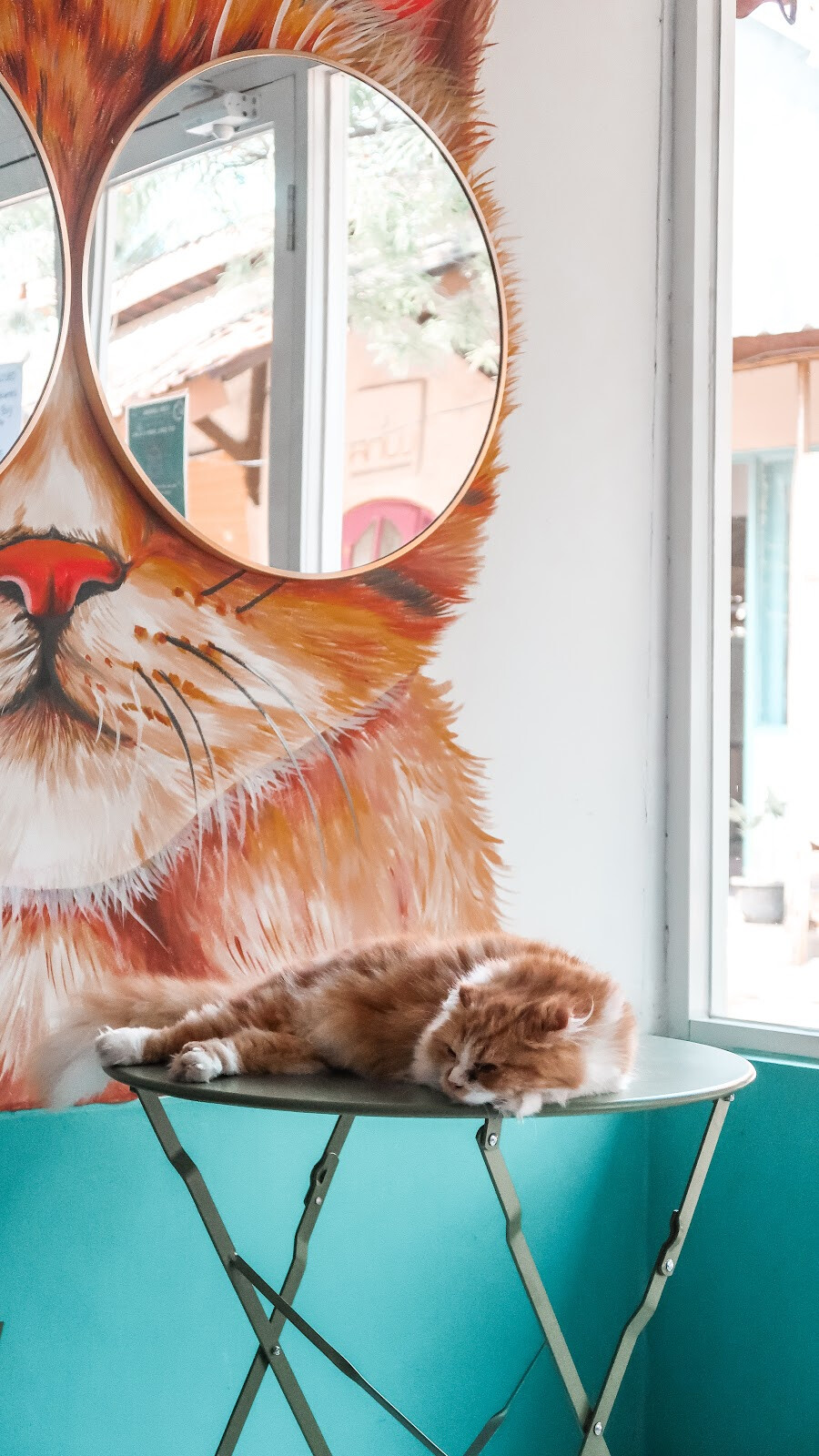 LUNI Lombok Cat Cafe