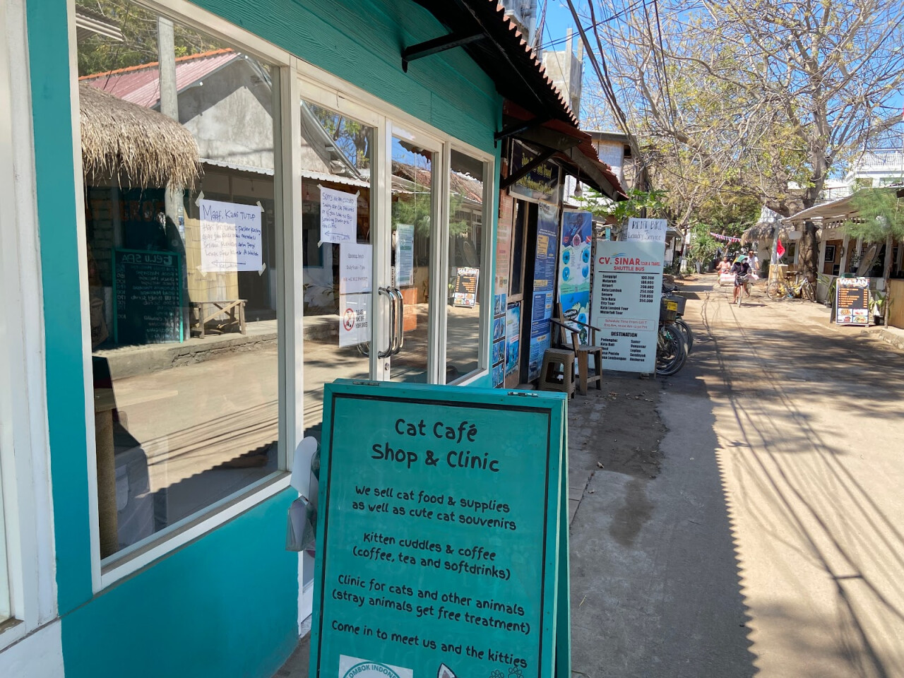 LUNI Lombok Cat Cafe
